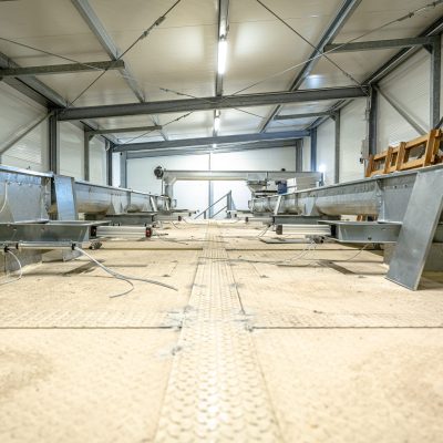 impianto-elettrico-automazione-mangimificio-09