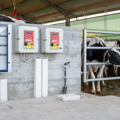 impianto-elettrico-stalla-allevamento-vacche-04